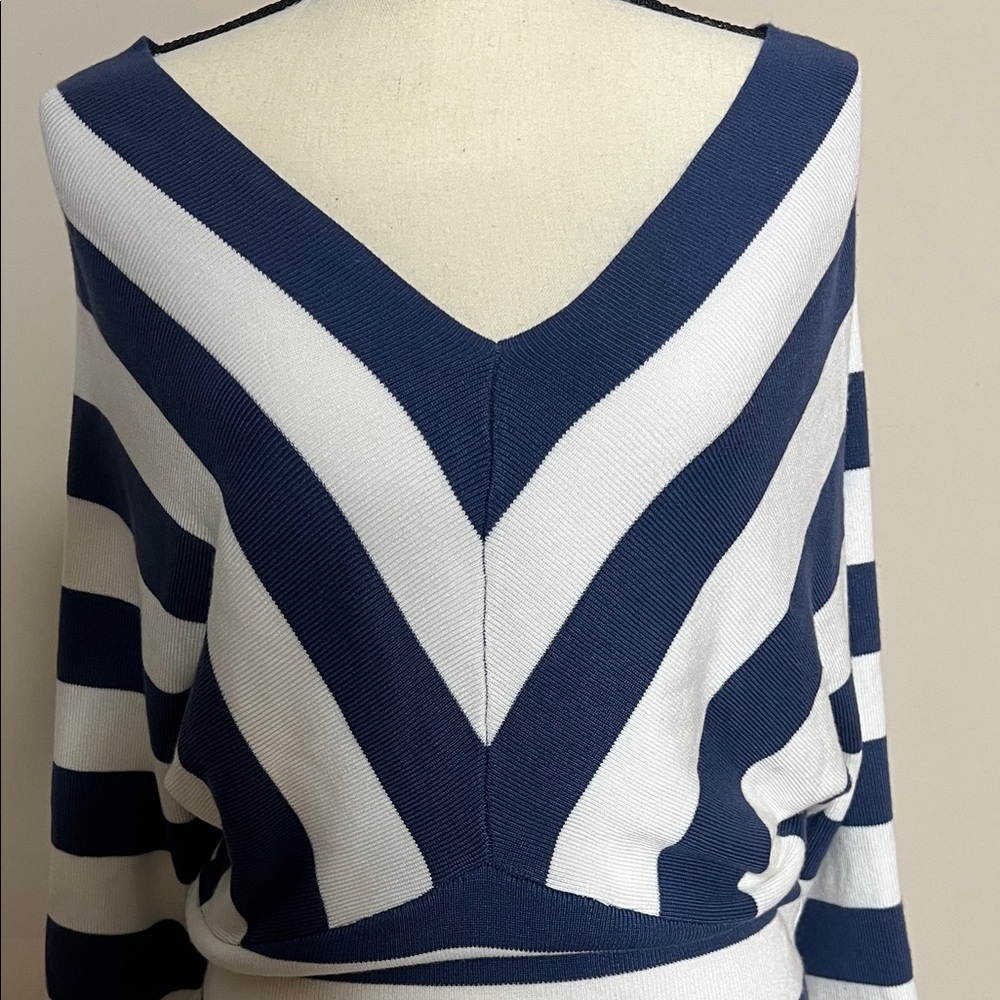 Truth by Republic Navy and White Striped Women's Sweater - Picture 4 of 8